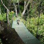WATERFALL CANOPY TOUR